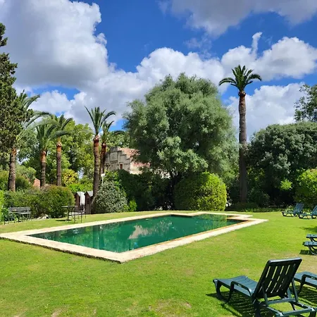 Casa Viña De Alcántara *